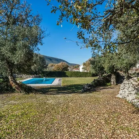 Little Olive Hideaway *