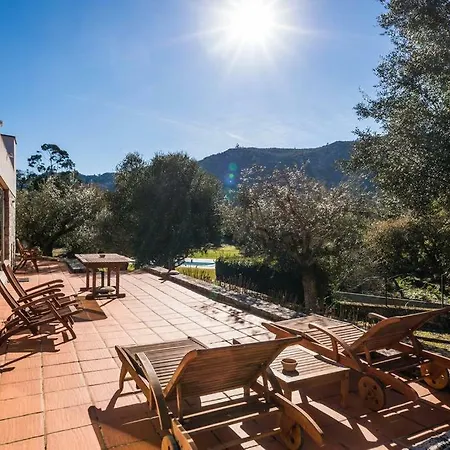 Séjour chez l'habitant Little Olive Hideaway *